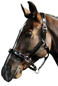 Harry's Horse Nose Net