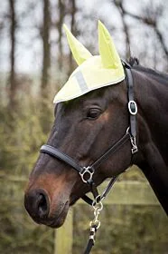 Harry's Horse Hood Refective