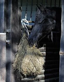 Harry's Horse Hooinet standaard