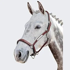 Prestige Leren Halster 3E053 