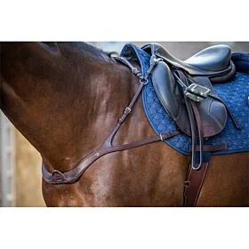 Dy'on Anatomisch Borsttuig