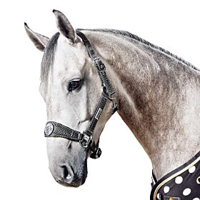 Eskadron Halster Dots NICI