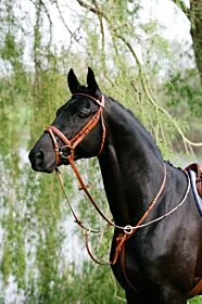 Stübben Ringmartingaal 