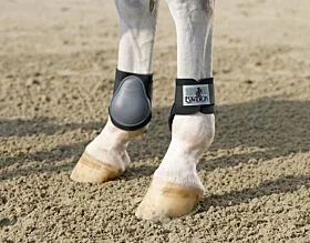 Eskadron Kogelbeschermers 