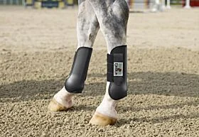 Eskadron Peesbeschermers Paard Achter