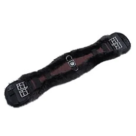 Christ Dressuursingel