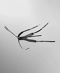 Passier Auriga Voortuig