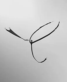 Passier gesloten martingaal vork voor Phoenix Voortuig