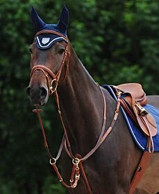 Passier Phoenix Voortuig