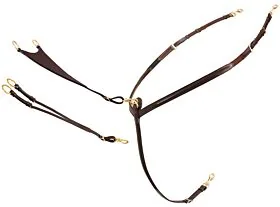 Passier Phoenix Voortuig