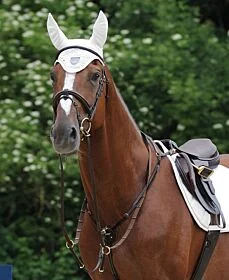 Passier Marcus Ehning Voortuig