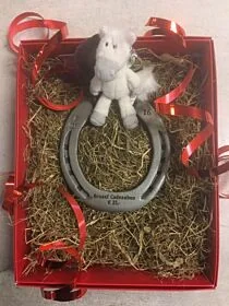 Braaaf Hoefijzer Cadeaubon € 300,00