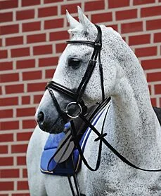 Passier Hoofdstel Fortuna