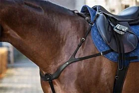 Dy'on Anatomisch Borsttuig