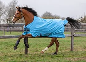 Amigo Hero 900D Turnout Lite 0 gram Capri / gunmetal & Bluebell