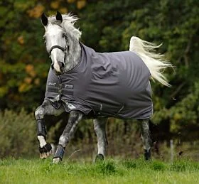 Amigo Bravo-12 Turnout Lite 0 gram Excal / Plum & Plum