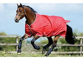 Amigo Hero-6 Turnout Lite 0 gram Red White Green Black