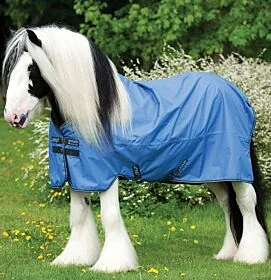 Amigo Hero 6 XL Turnout Medium