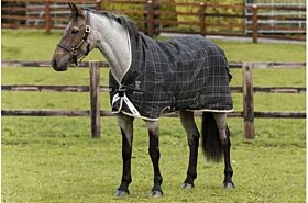 Rhino Pony Wug TO Med