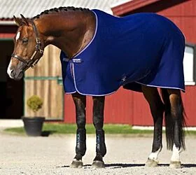 Amigo Jersey Cooler Atlantic Blue