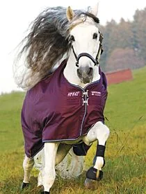 Amigo Hero-6 Turnout  50 gram 