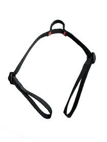 Freejump Cordon Y Zadelband 2021