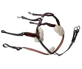 Prestige EVO 5 punts Borsttuig 3D027