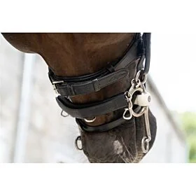 Dy'on Dy'on Chain Protection