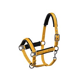 Eskadron Halster Pinbuckle Classic Sports Vintage Gold