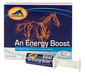 Cavalor Energy Booster 6 