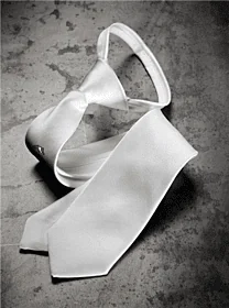 Equiline TIE QUICK TIE SYSTEM