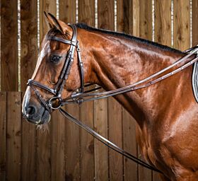 Dy'on Full leather Draw Reins