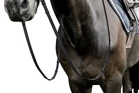 Prestige Leren Dresssuur Teugels 16mm 7 stops E137