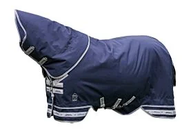 LeMieux Arika Storm-Tek Turnout Rug 350 gram