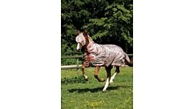 Amigo Mio Fly Rug Bronze Red