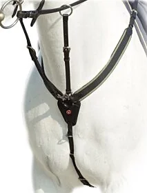 Prestige voortuig Special Jump D41