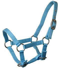 Veulenhalster&#x20;Mini