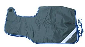 Amigo Competition Sheet