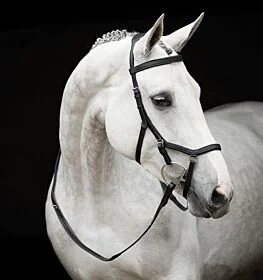 Rambo® Micklem® Original Competition Bridle