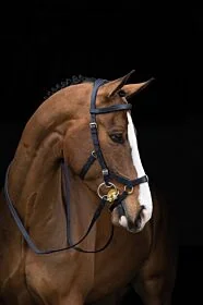 Rambo® Micklem® Multi Hoofdstel 