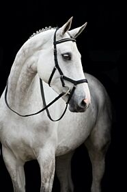 Rambo® Micklem® Diamante Competition Bridle