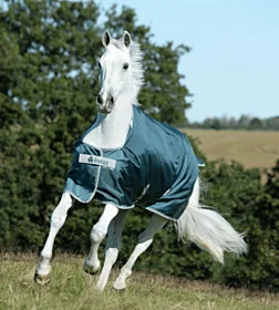 Bucas Atlantic Turnout 50 gram Green