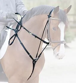 Schockemöhle Hulpteugel Abt & Down 