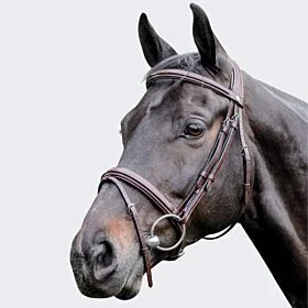 Prestige Leather raised bridle with stitching 3E083