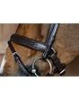 Dy'on Plaited Flash Noseband Bridle with Pull back New English Collection