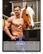Horse and Hunk Kalender 2025