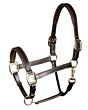 Harry's Horse leren Halster Padded