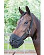 Harry's Horse Grazing muzzle Air