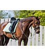 QHP Puff Pad Anatomic Dressuur