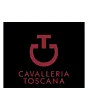Cavalleria Toscana Phases Jersey Fleece Half Zip Shirt